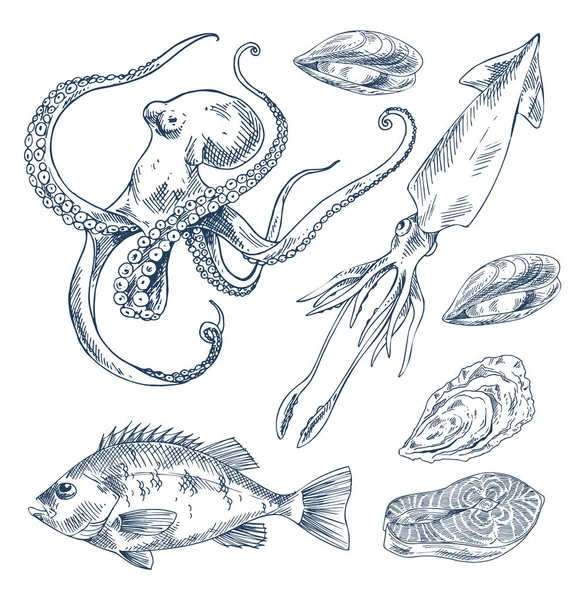 Balık ve deniz ürünleri Poster olarak deniz canlıları — Stok Vektör