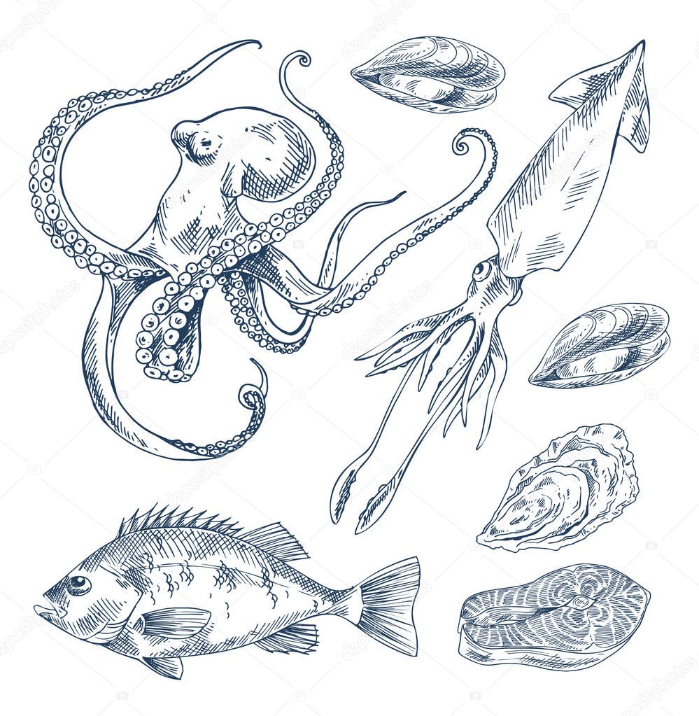 Fish and Marine Creatures as Seafood Poster