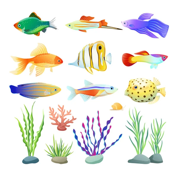 Créatures marines et algues Illustration sur blanc — Image vectorielle