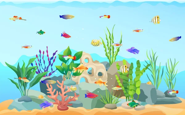Sea Plants and Limless Animals Vector Illustration — Stock Vector