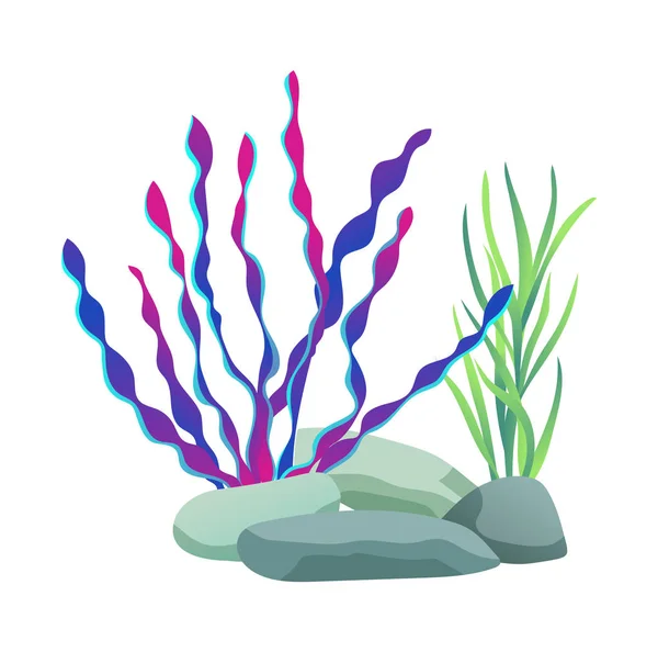 Zelené a purpurové mořské řasy, vektorové ilustrace — Stockový vektor