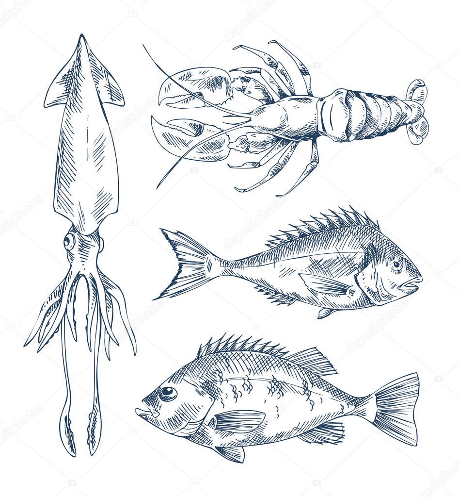 Seafood and fish vector engraving illustration