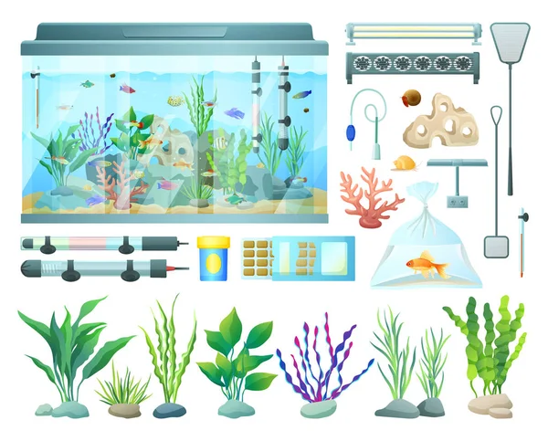 Peralatan Akuarium dan Berbagai Koleksi Rumput Laut - Stok Vektor