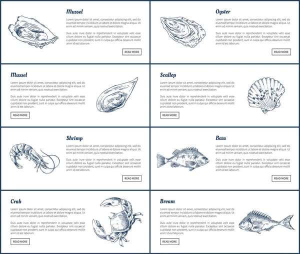 Mussel and Oyster Posters Set Vector Illustration — Stock Vector