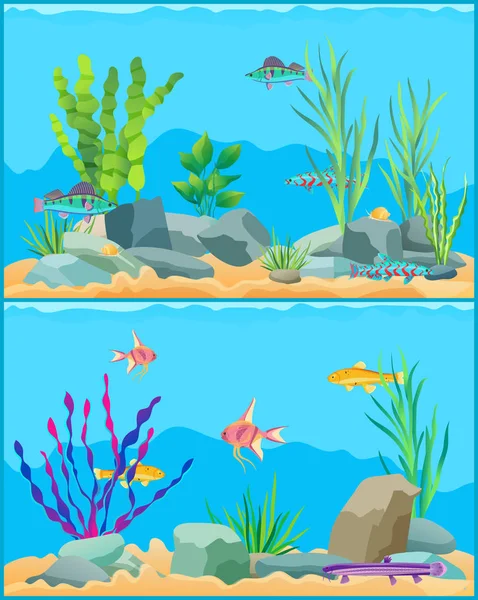 Ryby pod vodou stvol Set vektorové ilustrace — Stockový vektor