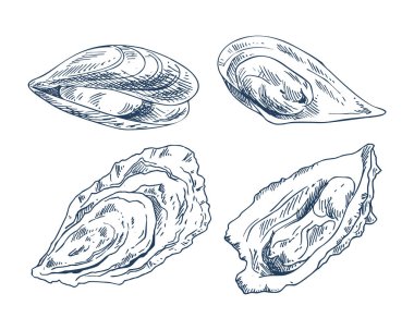 Cockleshell Icon Set deniz Promo Poster için