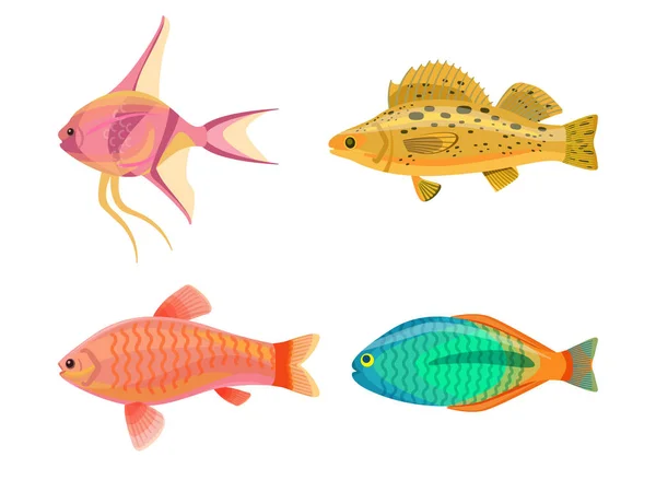 Jewel Cichlid e conjunto de peixes ilustração vetorial —  Vetores de Stock