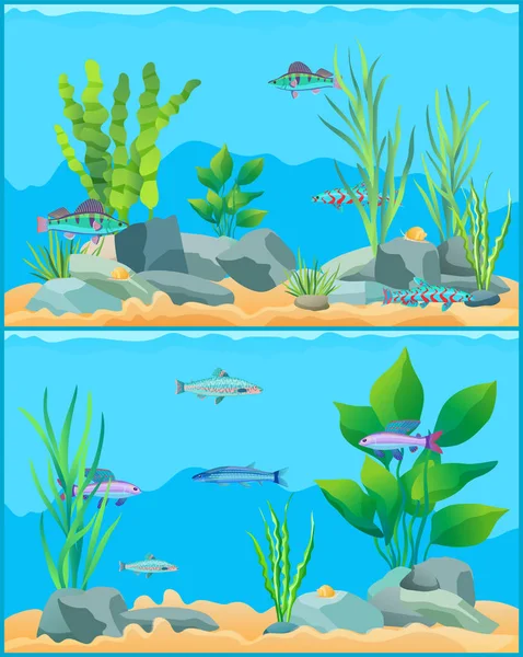 Colorato cartone animato Acquario Pesci Set Promo Poster — Vettoriale Stock