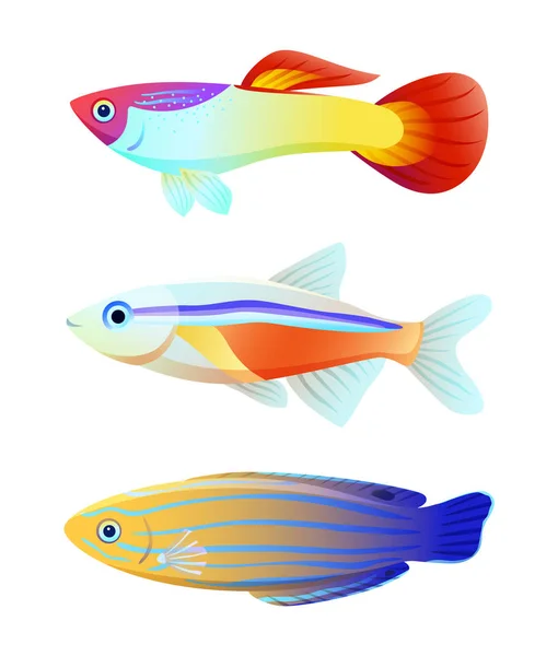 Aquarium fish silhouette isolated on white icons Stock Vector