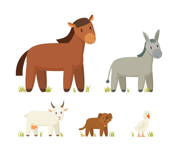 Ícones de burro e cavalo conjunto ilustração vetorial —  Vetores de Stock