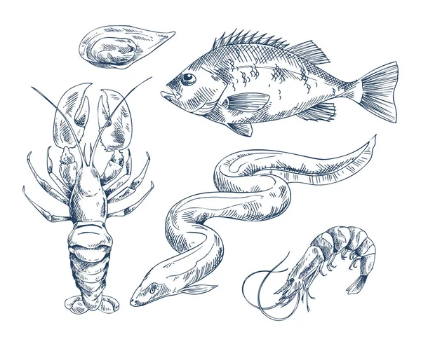 Illustration des habitants de la mer pour le restaurant de fruits de mer — Image vectorielle