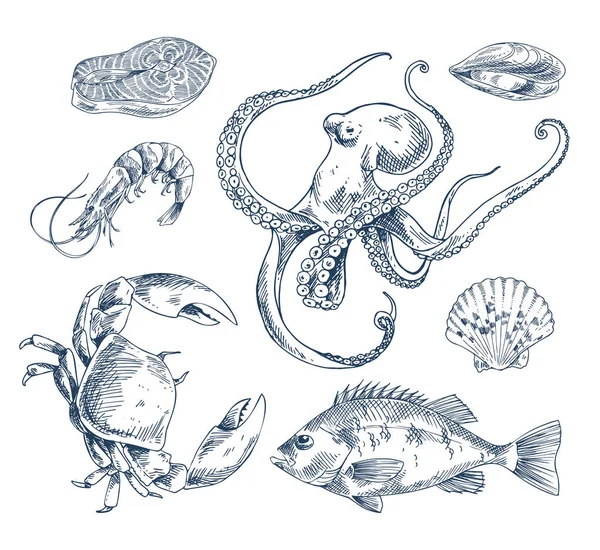 Seafood Sketch Illustration Monochrome Poster — Stock Vector