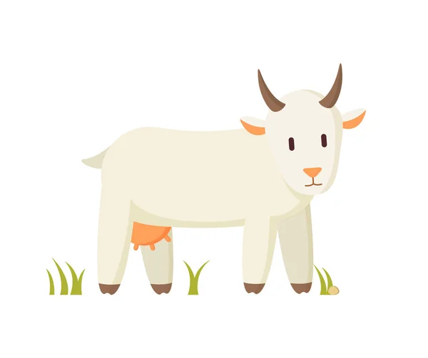 Nanny Goat Standing on Grass Cartoon Character — Stock Vector