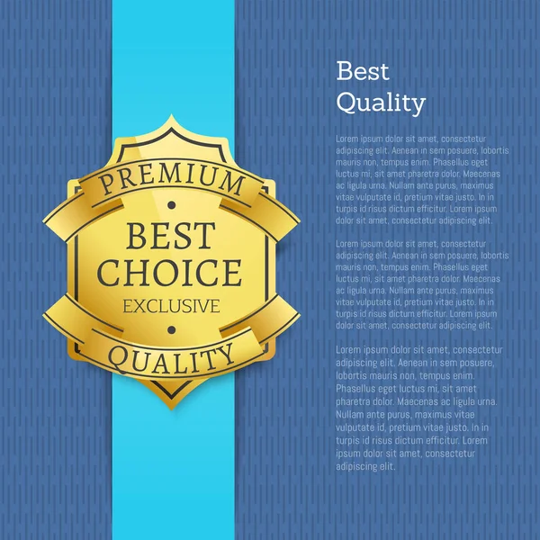 Melhor qualidade e escolha Poster Vector Ilustração — Vetor de Stock