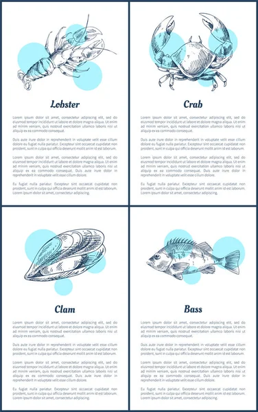 Homarów i krabów plakaty zestaw ilustracji wektorowych — Wektor stockowy