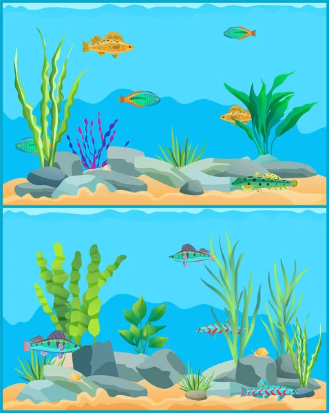 Színes rajzfilm akváriumi halacskák beállítása Promo poszter — Stock Vector