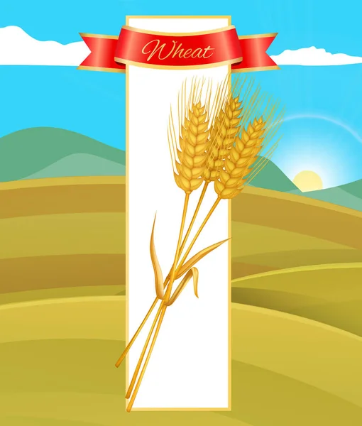 Cartel de cereales de trigo y naturaleza Vector Ilustración — Vector de stock