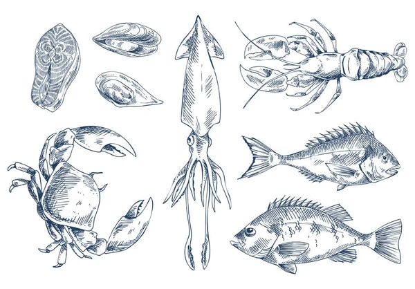Sea Delicacy Vector Illustration Sketch Style Set — Stock Vector
