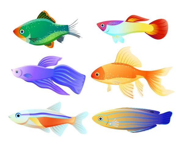 Aquarium Fische Spezies Cartoon Illustration Set — Stockvektor