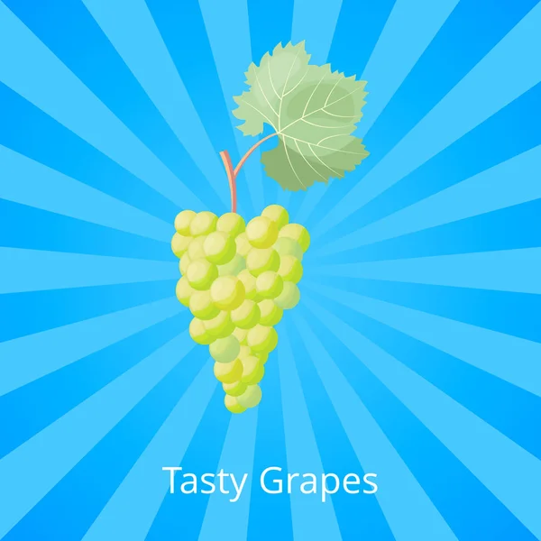 Savoureux bouquet de raisins pour la production de vin blanc — Image vectorielle