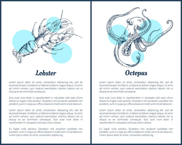 Lagosta e Octopus Seafood Vector Ilustração — Vetor de Stock