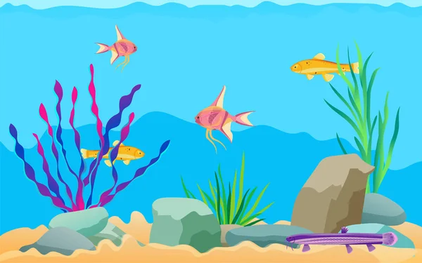 Akvarium fiskar simma bland stenar och tång — Stock vektor