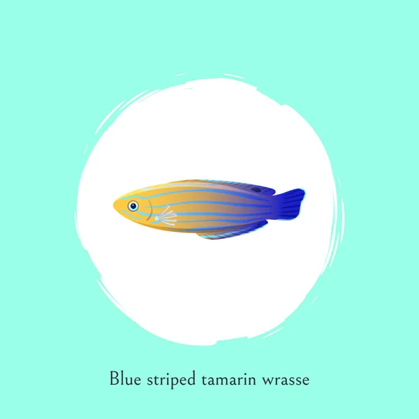 Blau gestreiftes Tamarin-Lippfisch-Illustrationsposter — Stockvektor