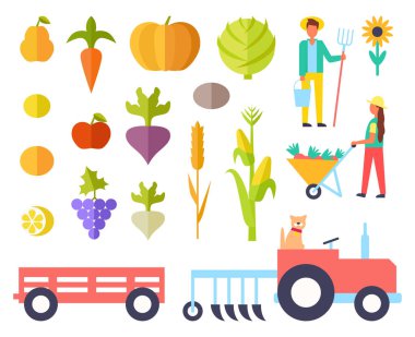 Hasat kişi ve sebze vektör çizim