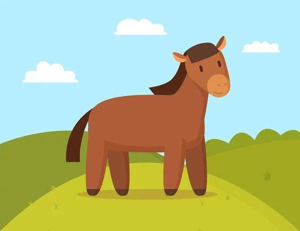 Caballo doméstico a pie Color Vector Ilustración — Vector de stock