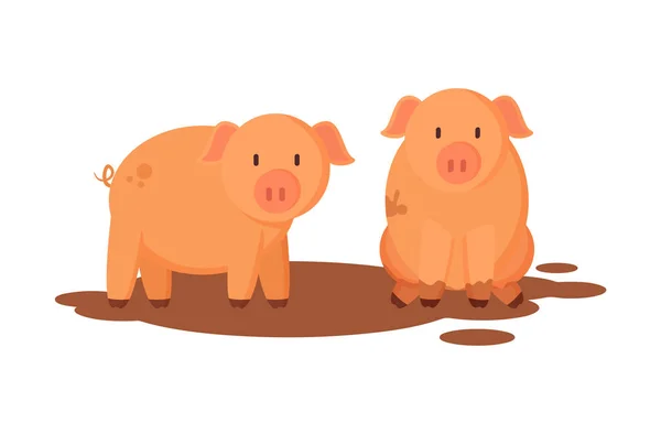 猪农场动物特写向量向量例证 — 图库矢量图片
