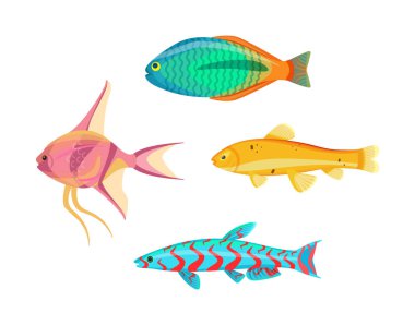 Vektör çizim Betta Splendens balık türleri ayarla