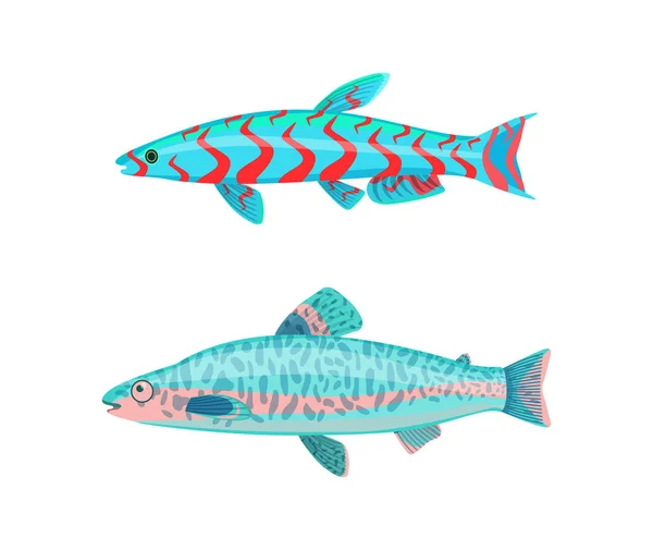 Jack Dempsey Fish Fauna Set Ilustração vetorial — Vetor de Stock