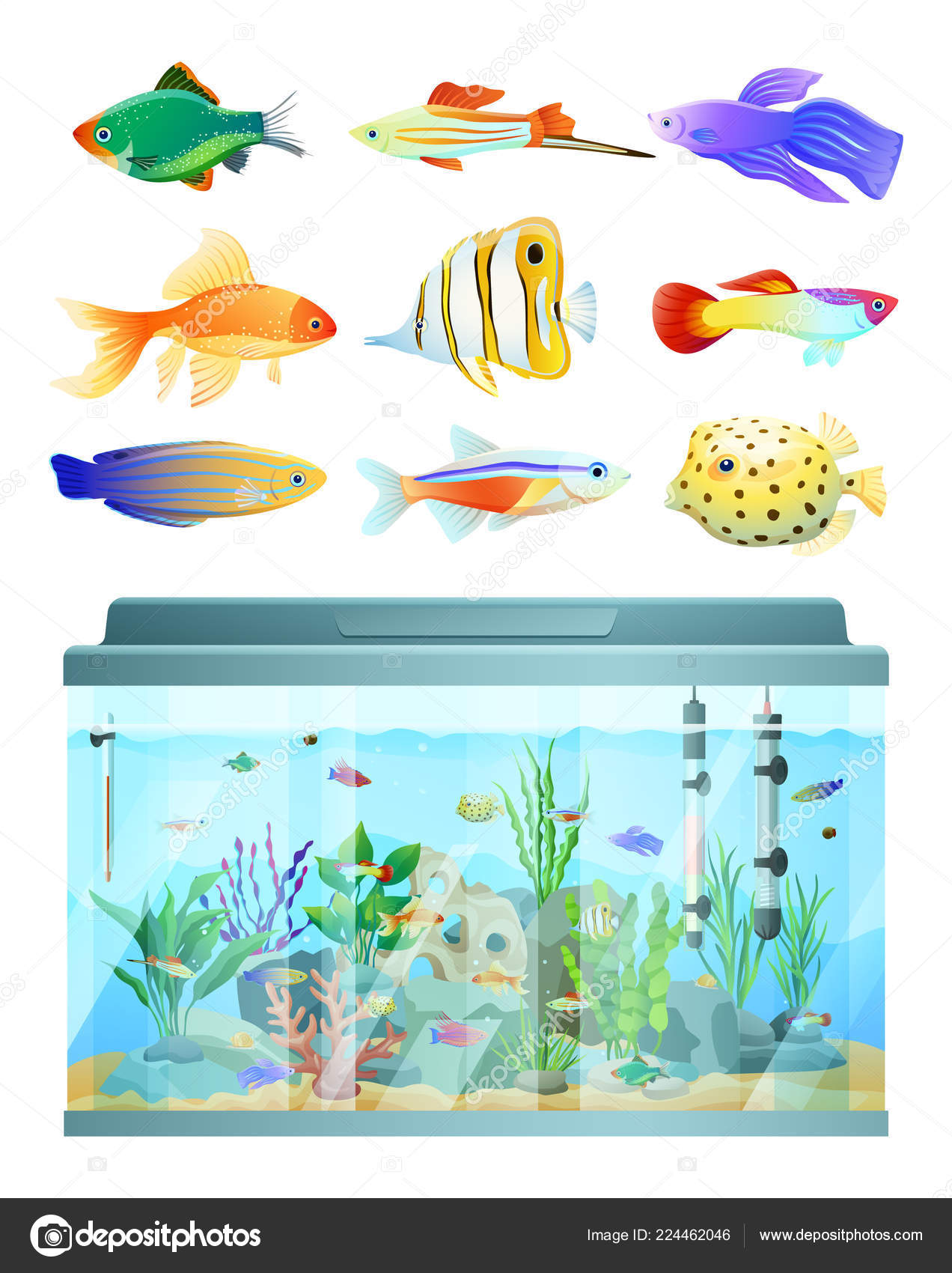 Huge Aquarium and Various Fishes Set Colorful Card Stock Vector by ©robuart  224462046