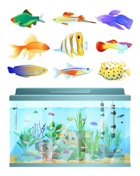 Huge Aquarium and Various Fishes Set Colorful Card — Stock Vector