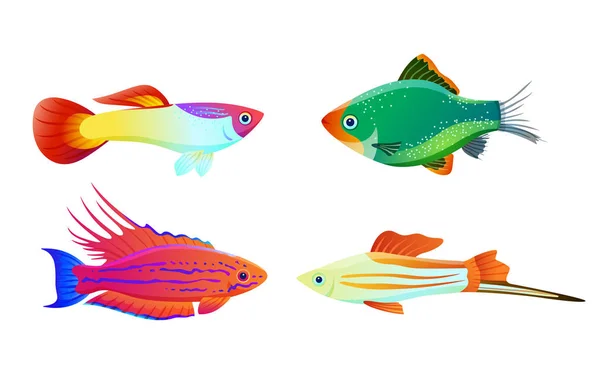 Aquarium fish silhouette isolated on white icons Stock Vector