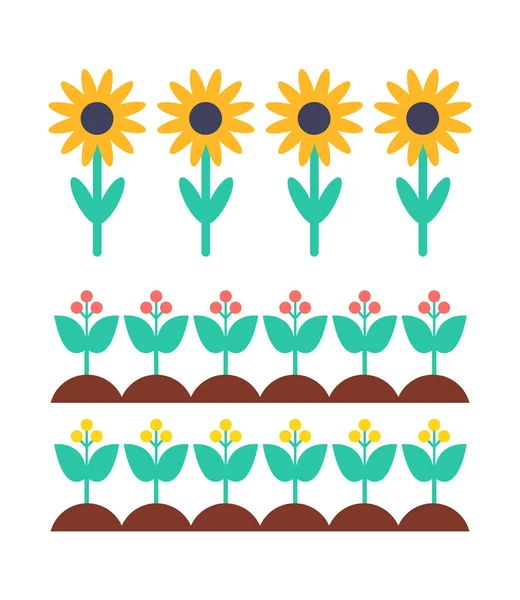 Conjunto de vectores de girasol y bayas Bush en la cama de jardín — Vector de stock