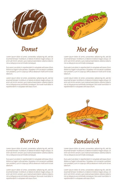 Donut und Sandwich, Burrito und Hotdog-Poster. — Stockvektor