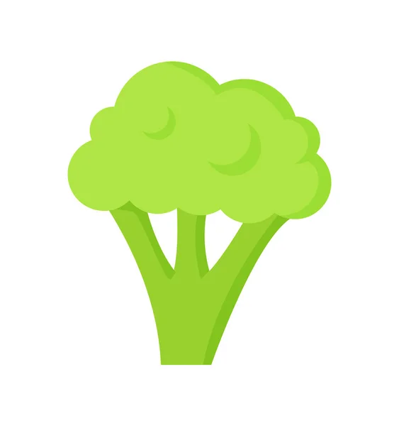 Broccoli sano cibo utile vettoriale illustrazione — Vettoriale Stock
