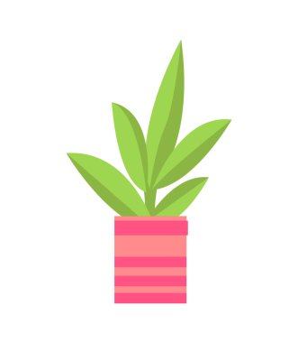 Saksı çiçek beyaz vektör afiş izole