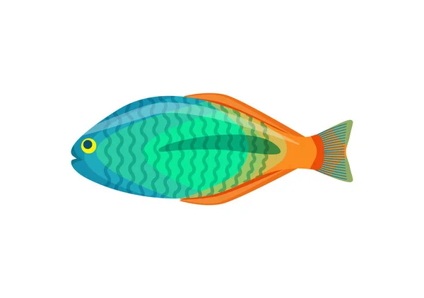 Rainbowfish peces de acuario aislados en el icono blanco — Archivo Imágenes Vectoriales