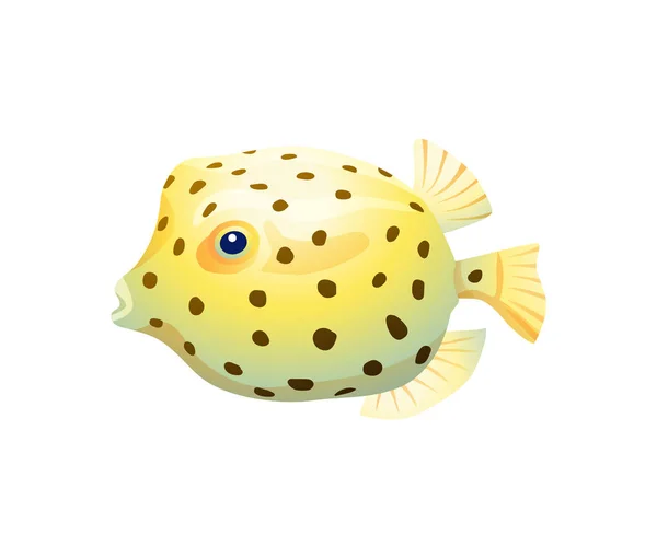 Beyaz arka plan üzerinde izole küresel Boxfish — Stok Vektör