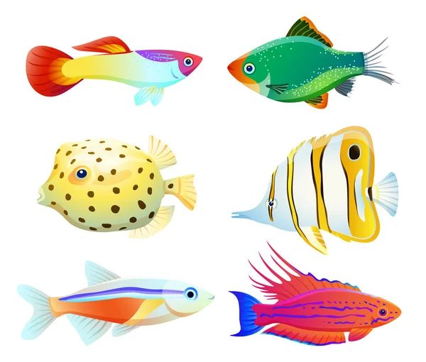 Aquarium fish silhouette isolated on white icons Stock Vector
