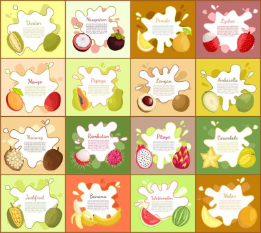 Durian ve Mangosteen Pomelo vektör çizim