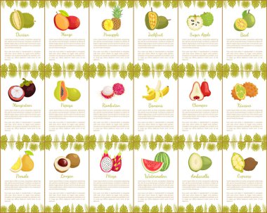 Pomelo ve Longan posterler vektör çizim