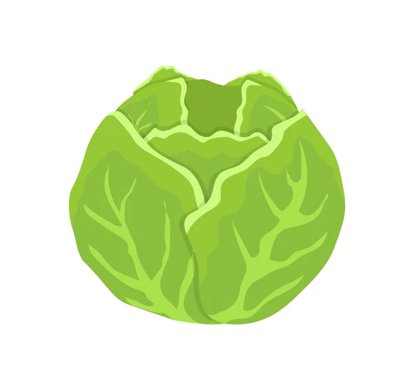 Icona vettoriale isolata del fumetto della testa del cavolo verde — Vettoriale Stock