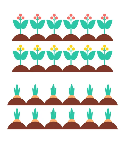Virág, virágzó növények sárgarépa vektoros illusztráció — Stock Vector