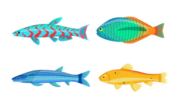 Cavala Azul Peixe Zebra Mbuna Vector Ilustração —  Vetores de Stock