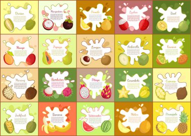 Durian ve Mangosteen Pomelo vektör çizim