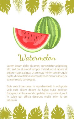 Karpuz limon kavun meyve olgun tropikal Poster