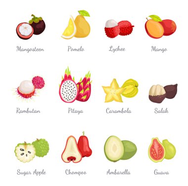 Mangosten ve Pomelo Lychee Mango vektör ayarla